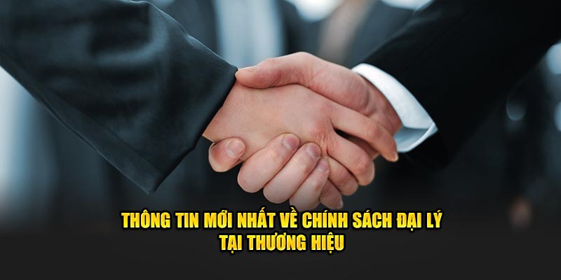 Thông tin mới nhất về chính sách đại lý tại thương hiệu